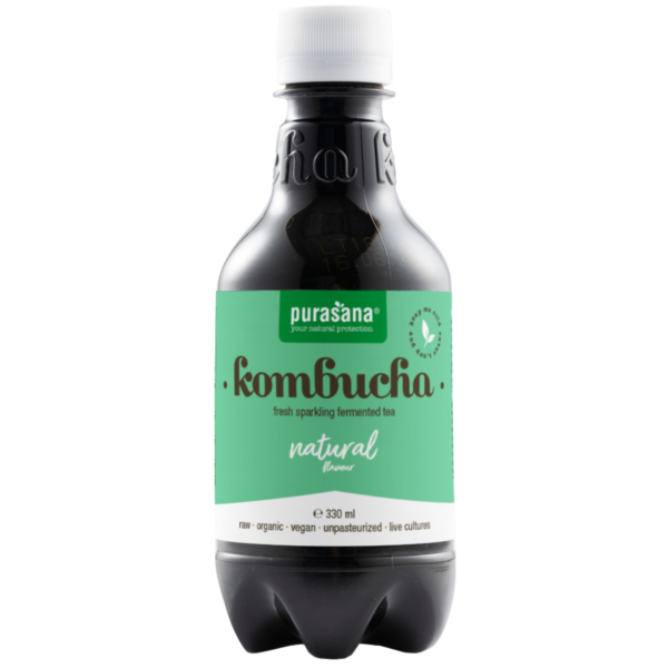 Kambucha drink original